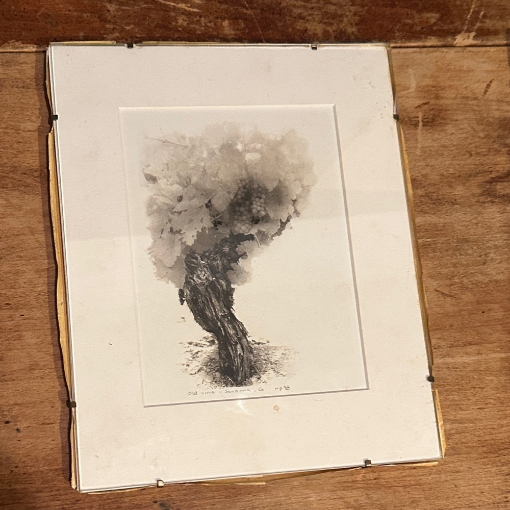 Elegant Black and White Tree Art Print